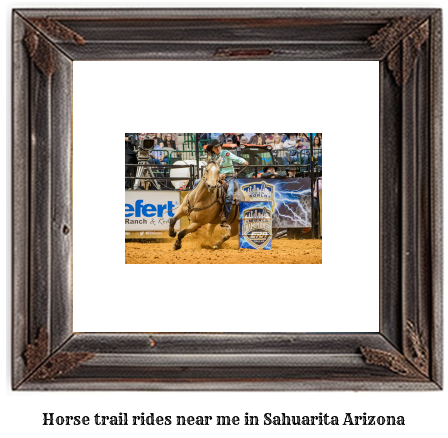 horse trail rides near me in Sahuarita, Arizona